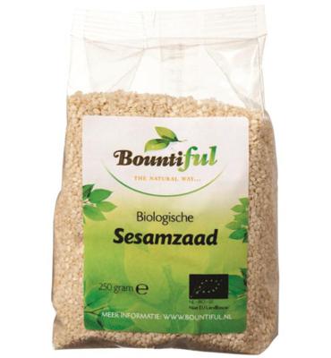 Sesamzaad bio