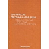 Verstandelijke beperking & verslaving (Paperback) - thumbnail