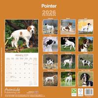 Pointer Kalender 2026 - thumbnail