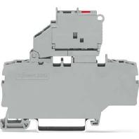 WAGO 2002-1911/1000-541 Zekeringklem 6.20 mm Spanveer Grijs 50 stuk(s)