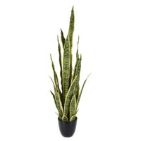 Kunstplant Sansevieria 92 cm Groen/Geel - thumbnail