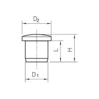 OBO Bettermann 2029520 107VS VM 16 PA Afsluitdop Kunststof 50 stuk(s) - thumbnail