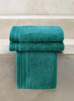 De Witte Lietaer De Witte Lietaer gastendoek Excellence 40x60 lake green - thumbnail