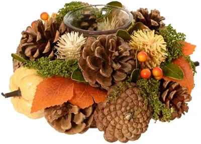 Decoris theelichthouder glas dennenappel 19x9cm multi