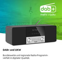 TechniSat DigitRadio 4 Stereo DAB Radio (DAB+, FM, Bluetooth, hoofdtelefoonaansluiting, AUX-ingang, wekker, OLED-display, 20 Watt RMS, Elac luidspreker), Zwart - thumbnail