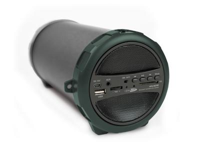 Draadloze Speaker met Bluetooth, USB, SD en AUX - 16 Uur Speeltijd (HPG407BT)