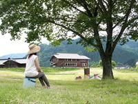 Hachiman Omnioutil Emmer M - Blauw/Paars - thumbnail