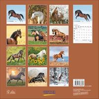 Paarden Kalender 2026 - thumbnail