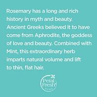 Petal Fresh Conditioner Volumizing Rosemary & Mint - thumbnail