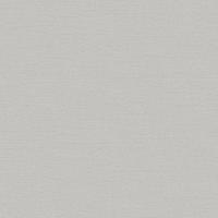 Dutch Wallcoverings Wall Fabric/Bs1 Linen Silver - Zilver - thumbnail