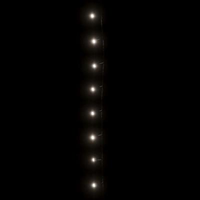 VidaXL Lichtsnoer 1000 led's binnen en buiten ip44 100 m koudwit