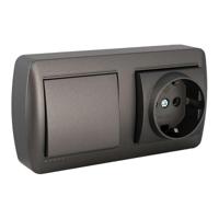 Dubbele Stopcontact + Schakelaar Basis Solera Mural 2p+t 250 V 16 A Grafiet - thumbnail