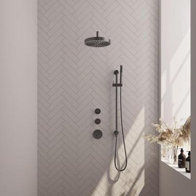 Brauer Stripe thermostatische inbouw regendouche SET 08 met 25 cm douchekop en gebogen muurarm en staaf handdouche en doucheslang en geintegreerde glijstang gunmetal geborsteld PVD