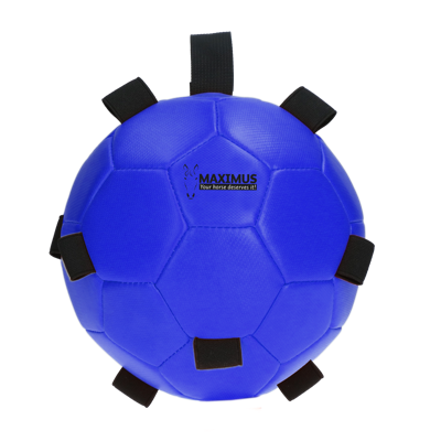 Maximus Fun Play Ball Blue