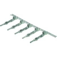 Weidmüller 1428500000 Krimpcontact RSV Totaal aantal polen: 1 Inhoud: 3000 stuk(s) - thumbnail