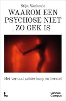 Waarom een psychose niet zo gek is - Stijn Vanheule - ebook - thumbnail