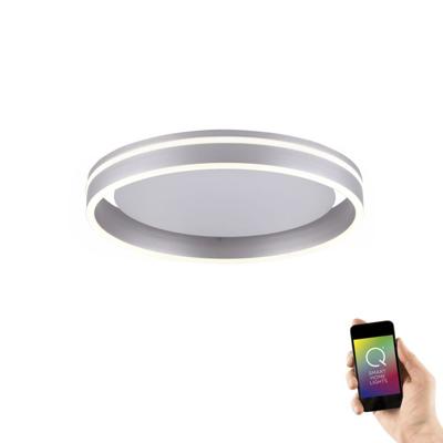 Paul Neuhaus Design plafondlampQ-Vito Ø 40cm grijs - 8414-55