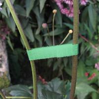 Connex Plantverbinding Met Velcro 7.5M - FLOR78655 - thumbnail