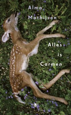 Alles is Carmen (Hardback)