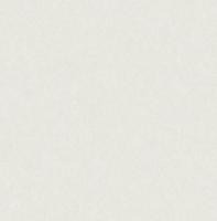 Dutch Wallcoverings Sauvage/British H. Uni - Wit - thumbnail