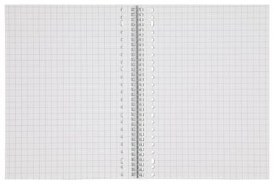HEMA Collegeblok A4 - Geruit 10 X 10 Mm - 3 Stuks