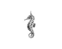 Bedel zeepaardje - thumbnail