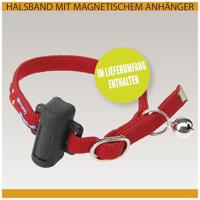 Swing 7 kattenluik - thumbnail