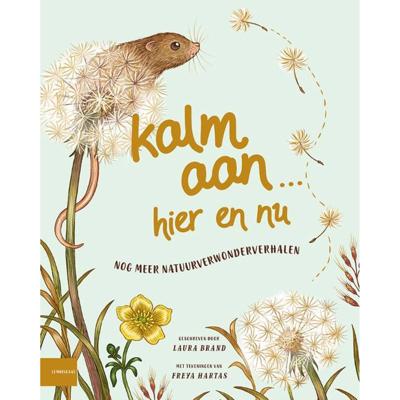 Kalm aan… Hier en nu