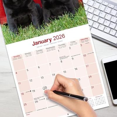 Labrador Retriever Zwart Kalender 2026