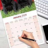 Labrador Retriever Zwart Kalender 2026 - thumbnail
