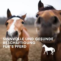 Lax Luzerne blok met gat voor Paarden - thumbnail