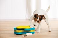 Nina Ottosson dog tornado turquoise / geel - thumbnail