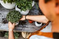 Vaas bol Rib 29x25 Zwart Capi Europe - Capi europe - thumbnail