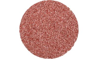 PFERD TOOLS CD 50 A 36 PLUS 42755503 Schuurblad Korrelgrootte (num) 36 (Ø) 50 mm 100 stuk(s)