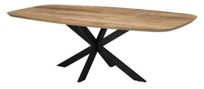 DTP Home Deens Ovale Eettafel 'Evo' Teakhout, 240 x 110cm