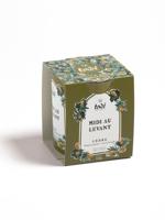 Tadé Midi Eau Levant Ceder Geurkaars - thumbnail