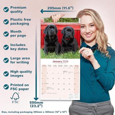 Black Labrador Retriever Calendar 2026 Square Dog Breed Wall Calendar - 16 Month