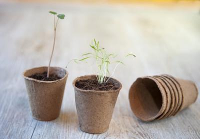 Nature Bio 100% houtvezel kweekpotjes rond 8 cm - 15 stuks