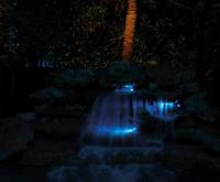 Pontec 73355 Vijverbelichting LED 5 W Zwart - thumbnail