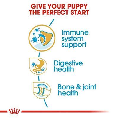 Royal Canin Puppy Bulldog hondenvoer 12 kg