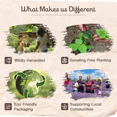 Sagrada Madre Palo Santo Wierook met Champa