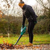 BladblazerBOSCH 06008A0501 18 V - thumbnail