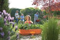 Hozelock Zelf bewaterende kweekbak - thumbnail