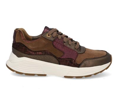 Xsensible Golden Gate Lady 33000.2 396 bronze combi Bruin maat 42