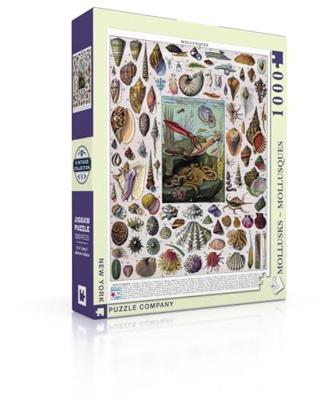 New York Puzzle Company Mollusken - 1000 stukjes New York Puzzle Company Mollusken - 1000 stukjes