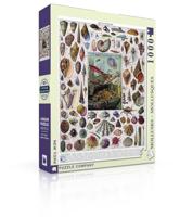 New York Puzzle Company Mollusken - 1000 stukjes - thumbnail