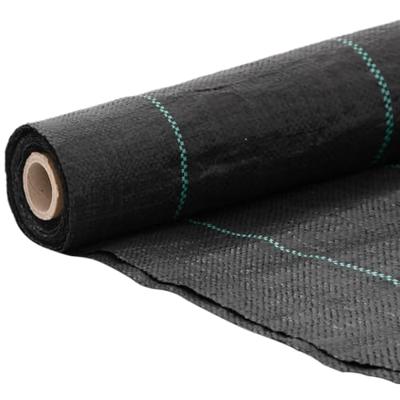Worteldoek 2x200 m polypropeen zwart - thumbnail