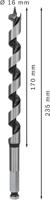 Bosch Accessoires Houtslangenboor, zeskant 16 x 160 x 235 mm, d 11,1 mm 1st - 2608597630 - thumbnail