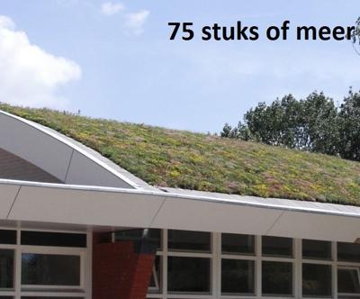 Minimaal 75 stuks! Sedummixmat Compleet (incl. drainage type 11c & daktuinsubstraat) per 1.2 m2 max. 25 graden - Sempergreen