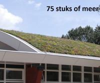 Minimaal 75 stuks! Sedummixmat Compleet (incl. drainage type 11c & daktuinsubstraat) per 1.2 m2 max. 25 graden - Sempergreen - thumbnail